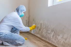 Best Post-Construction Mold Inspection  in Knollwood, IL